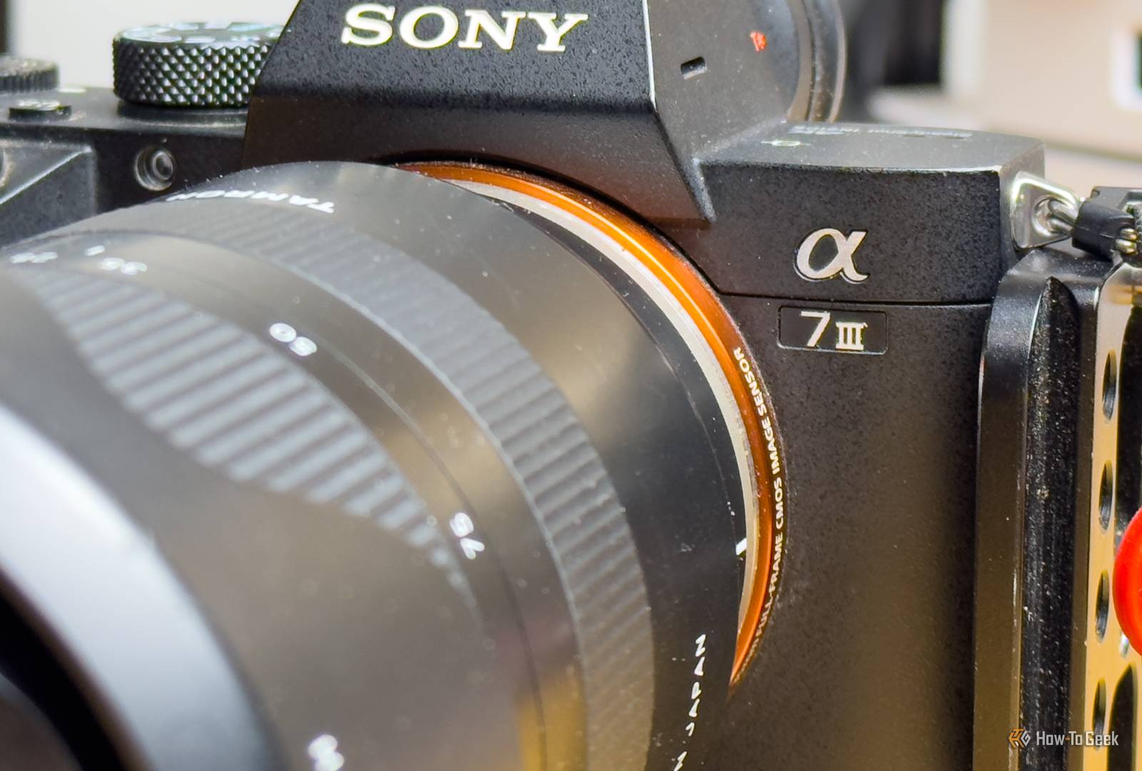 Crop Factor Sony A7r Iii Sensor Sony A7R3 Mirrorless Camera