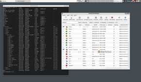 A Qubes desktop displays a terminal window and a program; both display a list of virtual machines.