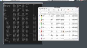 A Qubes desktop displays a terminal window and a program; both display a list of virtual machines.