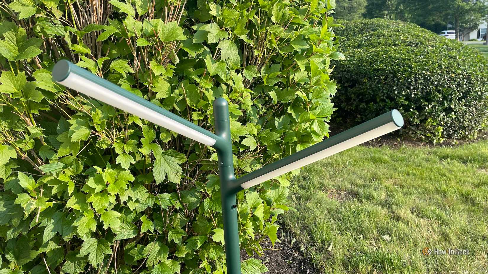 The Govee Outdoor Garden Lights in front of a bush.