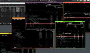 Several terminal windows displaying system resource monitors are open on a Qubes desktop. These windows illustrate the duplication of processes within multiple virtual machines.