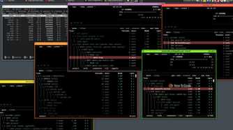 Several terminal windows displaying system resource monitors are open on a Qubes desktop. These windows illustrate the duplication of processes within multiple virtual machines.