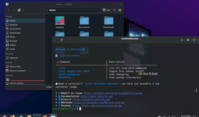 Bazzite desktop with a file browser and terminal window open.