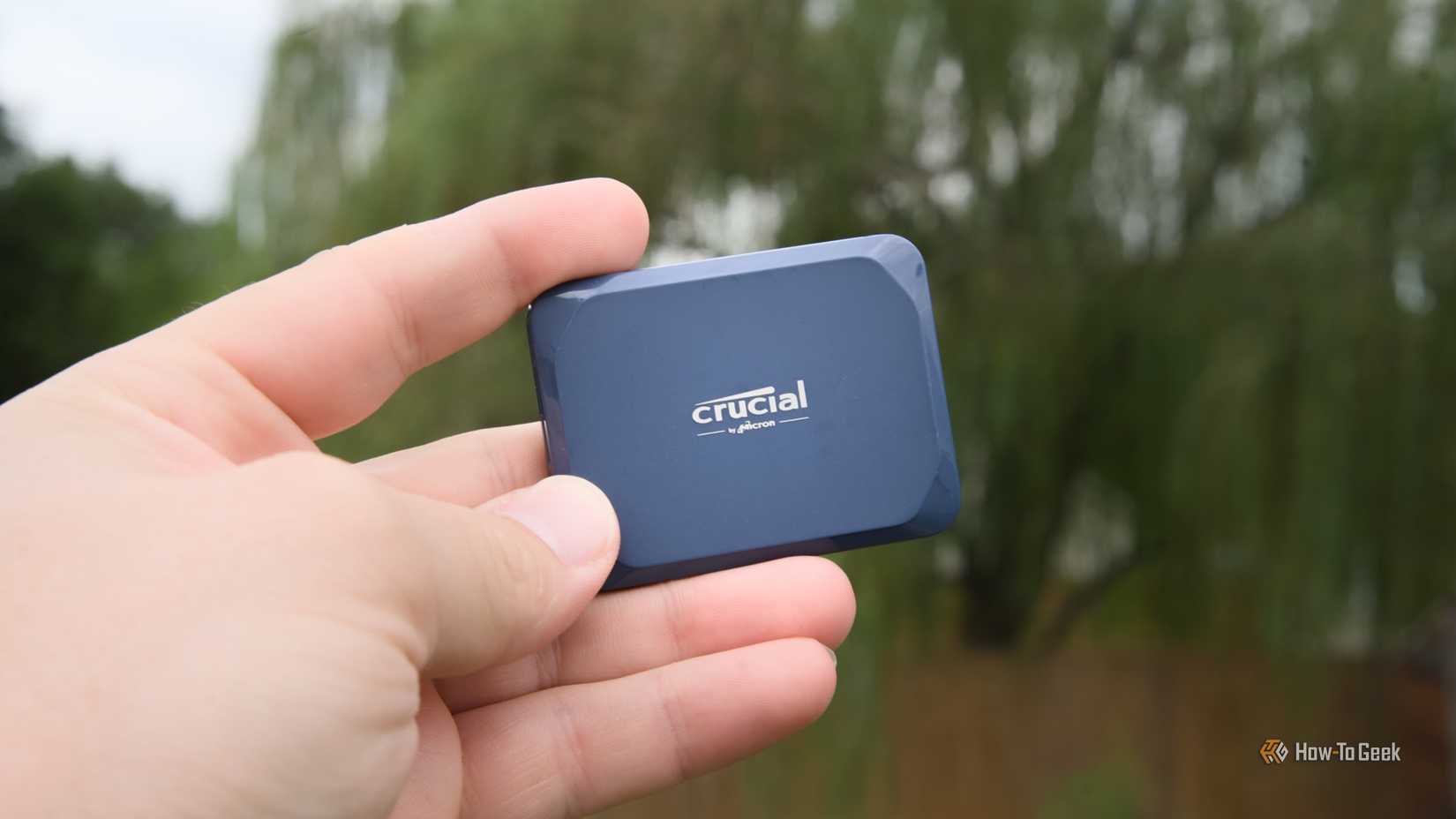 A hand holding a Crucial X10 portable SSD in front of a weeping willow tree.