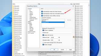 Automatically Include New Removable Volumes box in the Everything app.