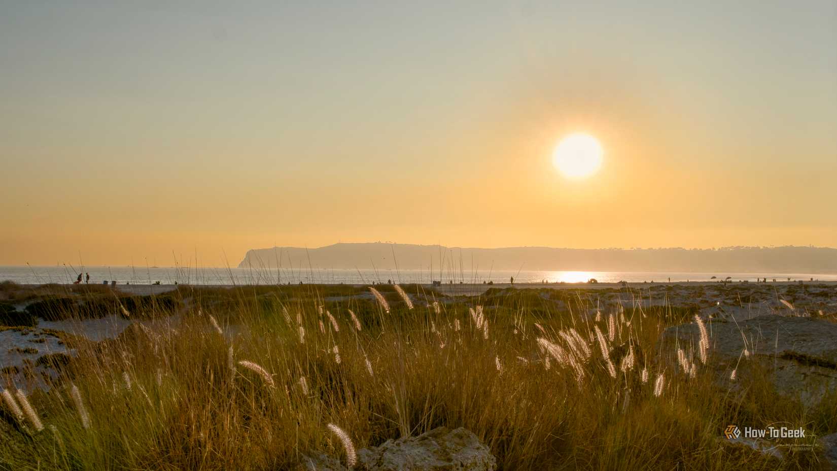 Atardecer en una playa con espadañas en primer plano y montañas al fondo.