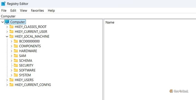 Registry hives in the Registry Editor.