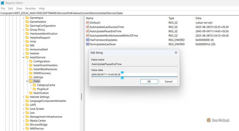 Value data field of the AutoUpdatePauseEndTime string.