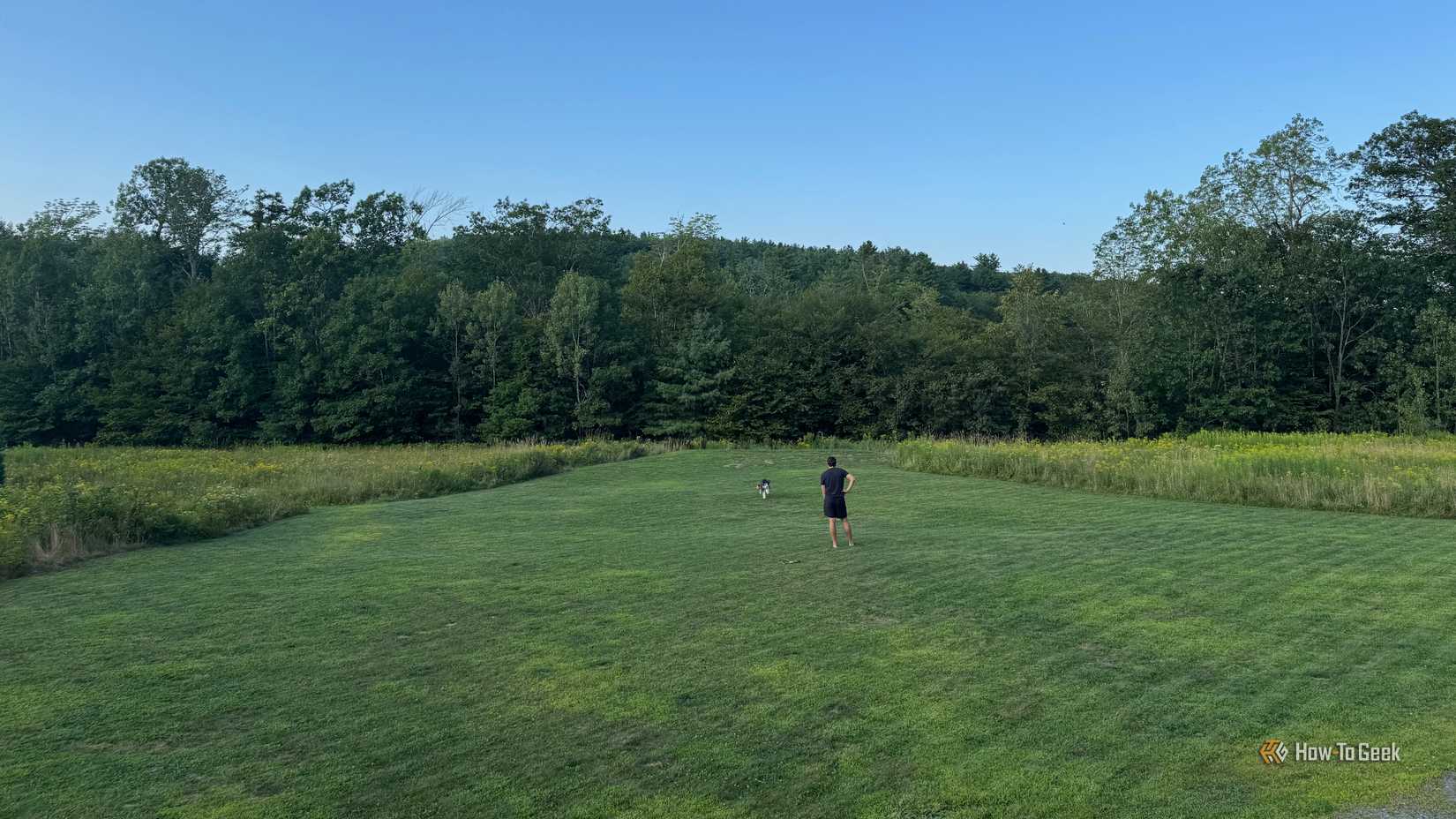 A mowed front lawn.
