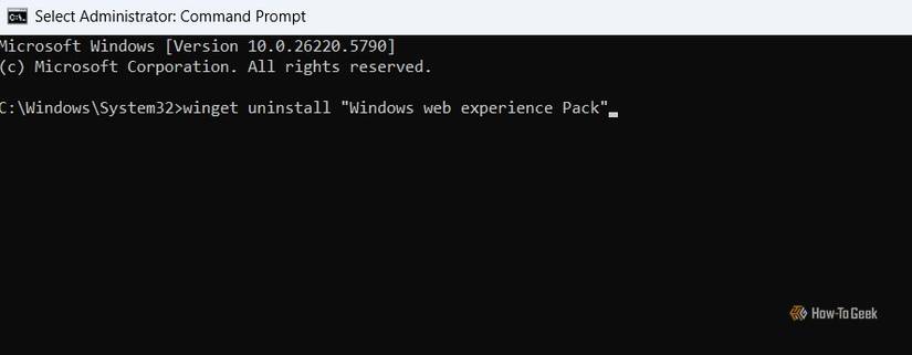 Command to disable the widget panel using Command Prompt..