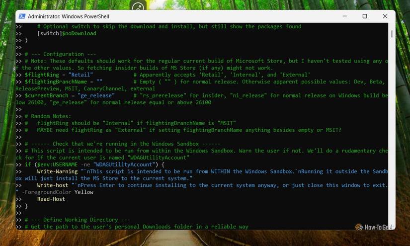PowerShell script to install Microsoft Store in Sandbox.