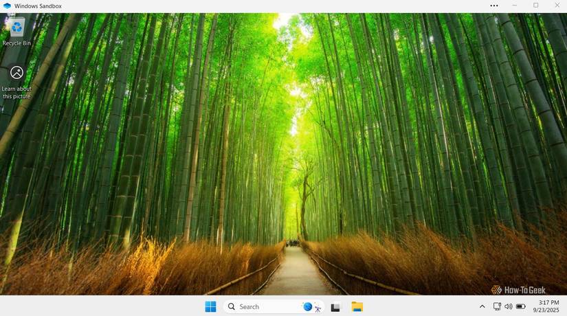 Windows Sandbox in Windows 11.