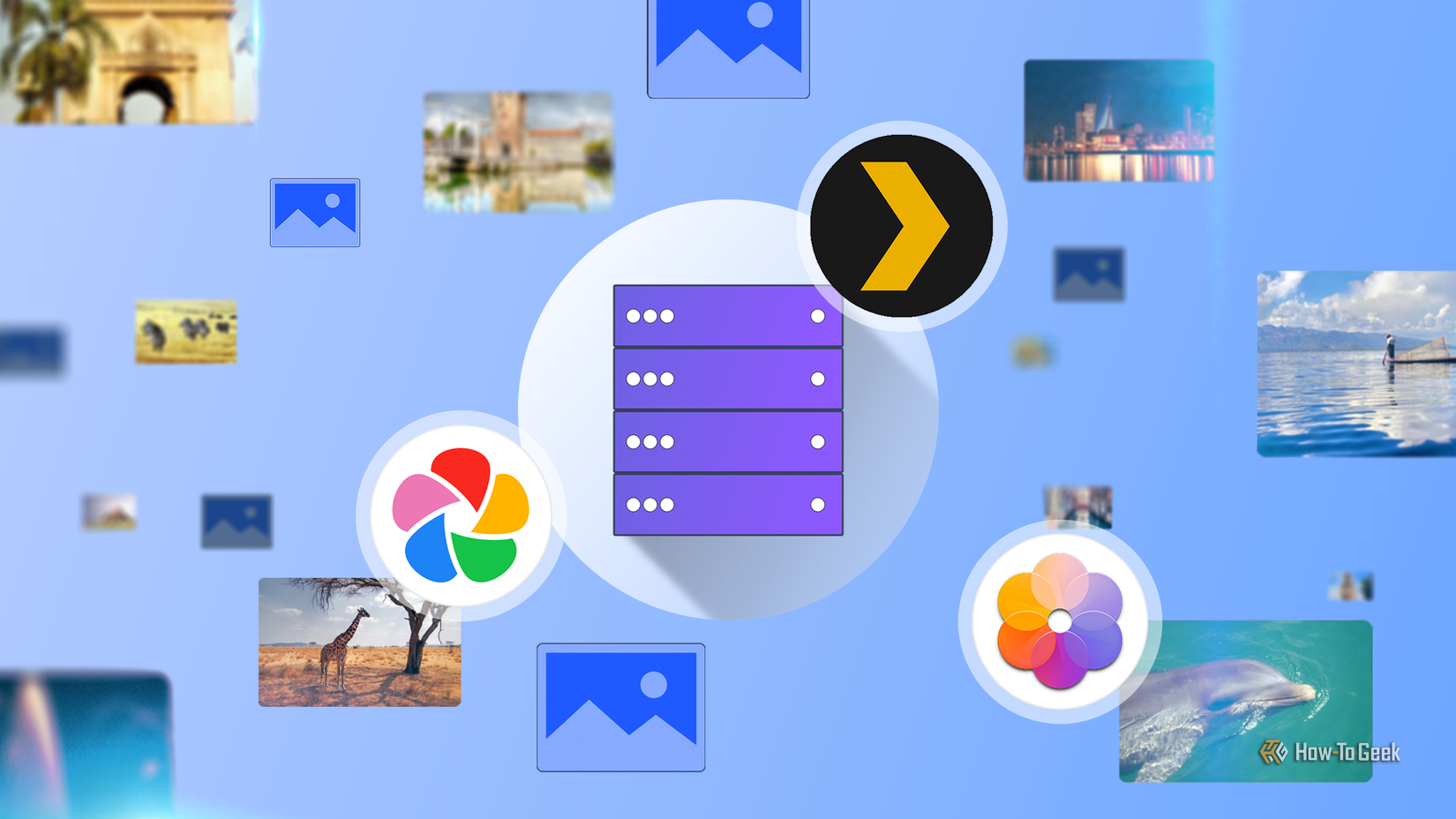 Illustration showing a server icon surrounded by the logos of Plex, Immich, and Synology Photos, with photo thumbnails of landscapes, animals, and cityscapes floating around it.