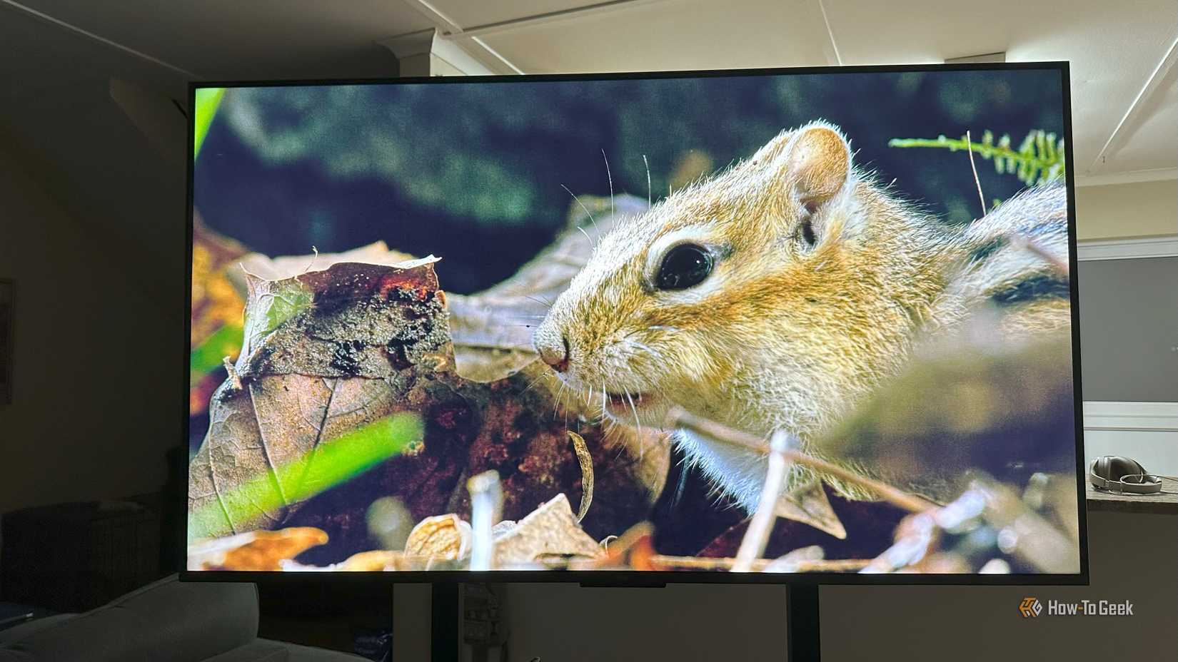 The TCL C6K showing a nature documentary.