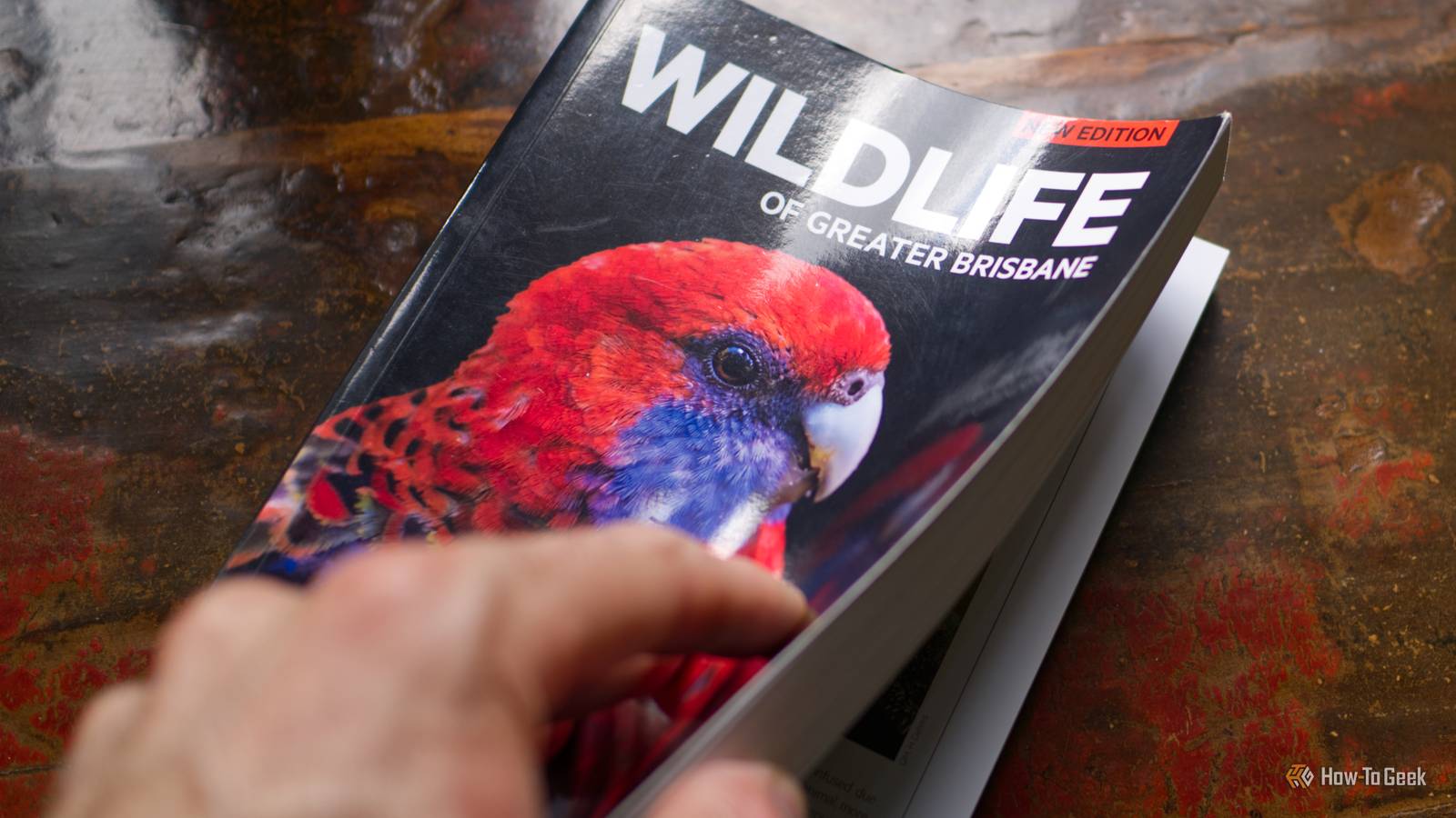 This free academic AI tool is helping me reach new levels of nerd