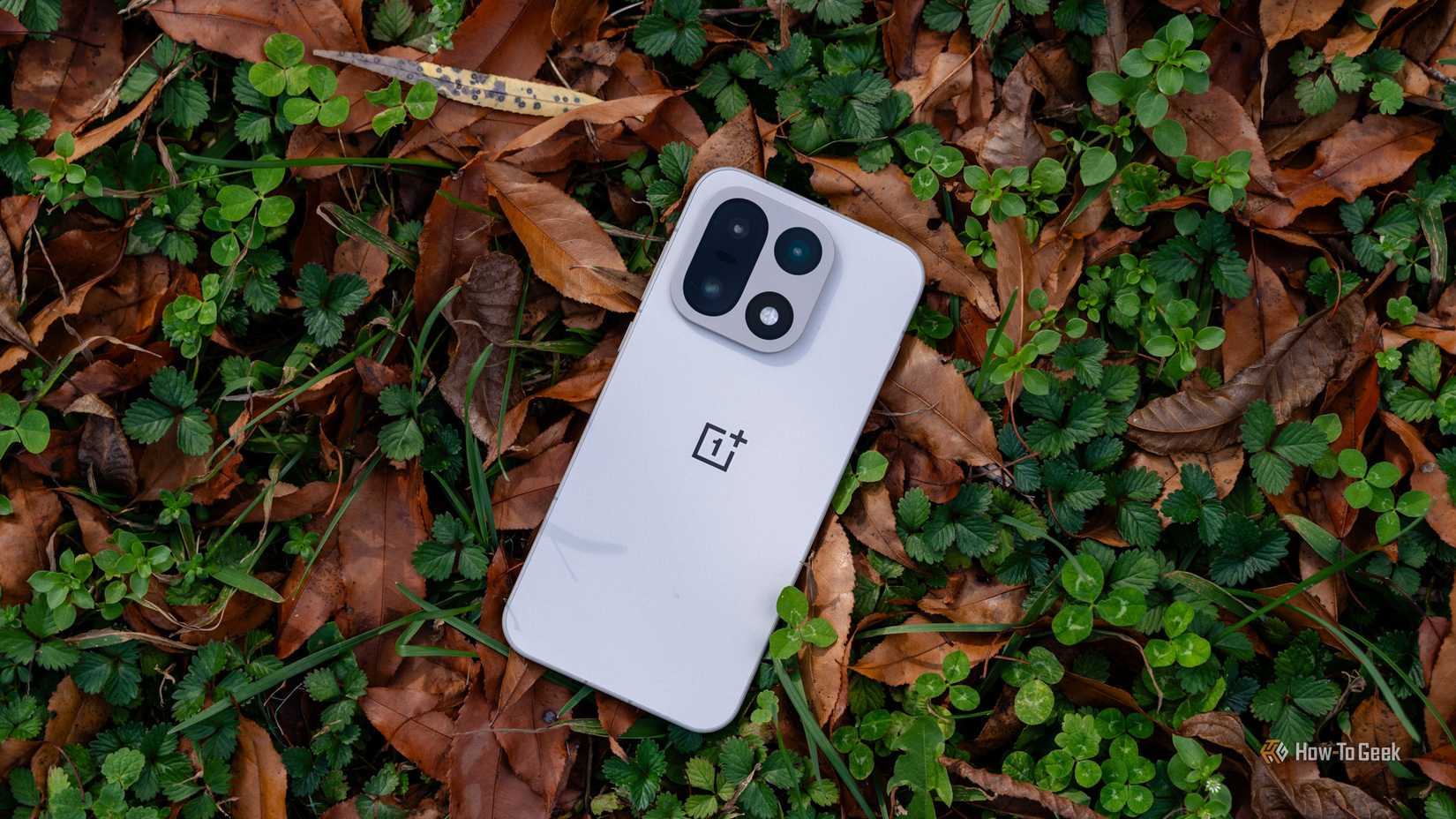 Задняя панель OnePlus 15 на траве и листьях.