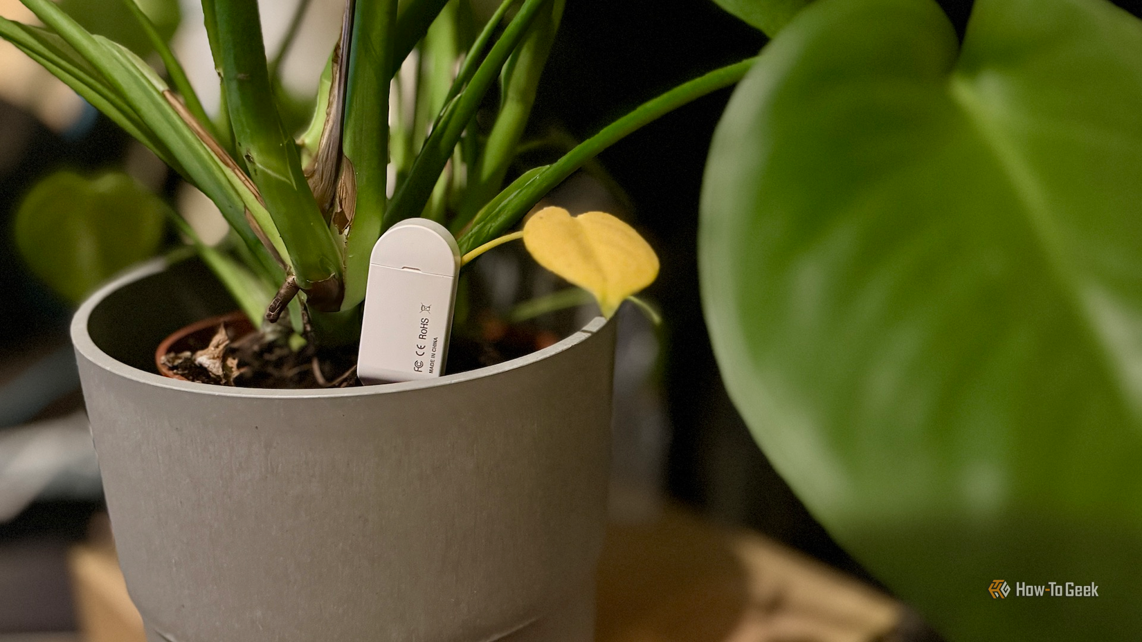 A soil sensor embedded in the soil of a potted plant.