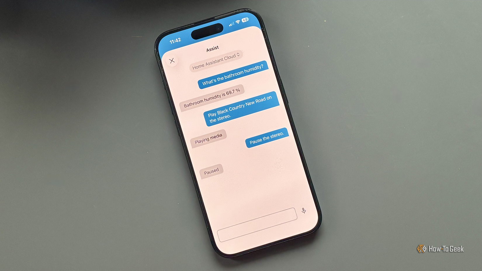 Home Assistant's Assist voice assistant running on an iPhone.