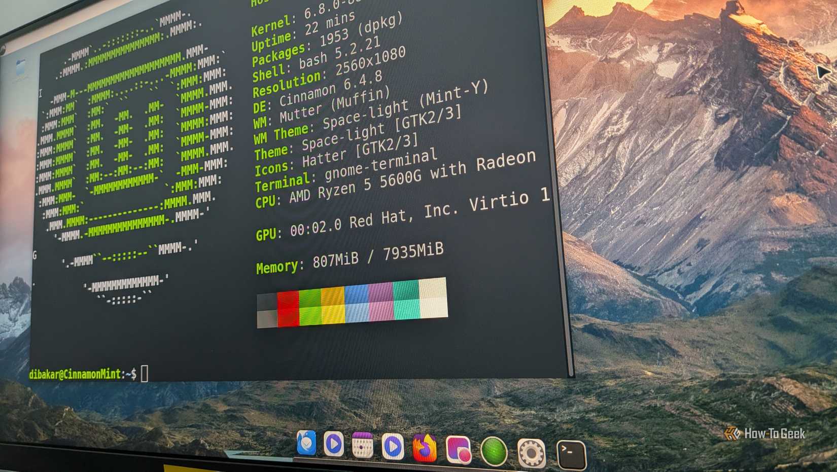 Linux Mint desktop with a customized version of Cinnamon looking like macOS having the Linux terminal active showing neofetch.