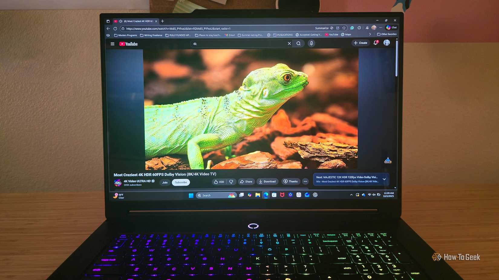 A tela do laptop para jogos Lenovo Legion 9i Gen 10 reproduz o vídeo de um lagarto.