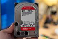 A person holding a Western Digital WD Red Plus 4TB NAS HDD.