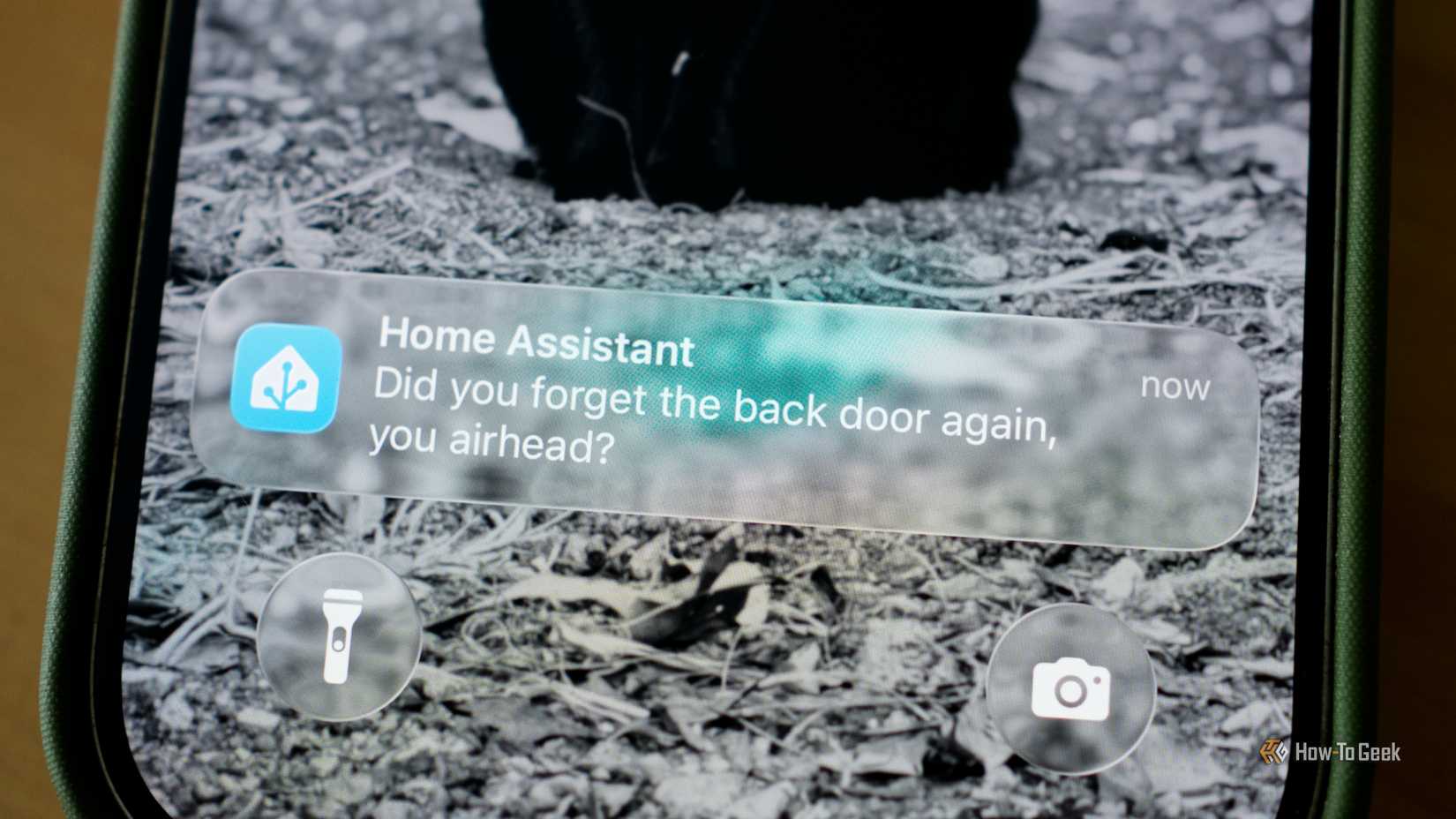 An insulting Home Assistant notification.