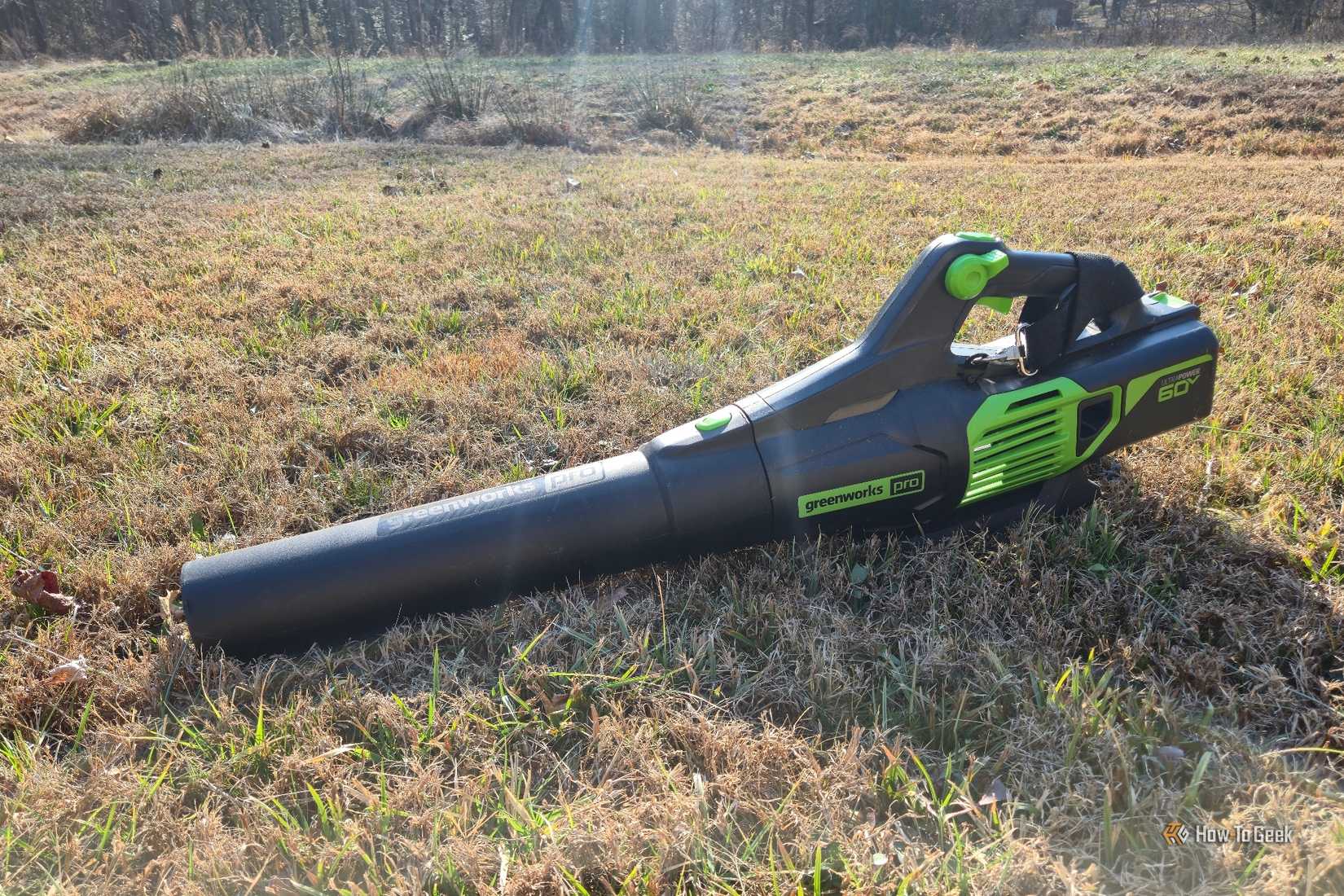 Greenworks leaf blower resting in the grass.