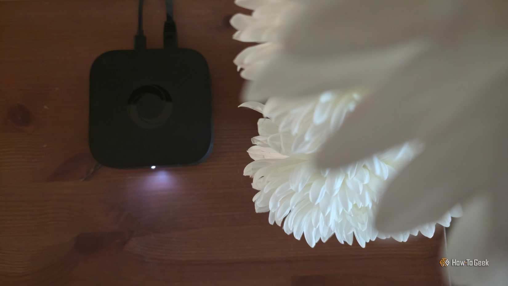 Homey Pro Mini with flowers in the foreground.