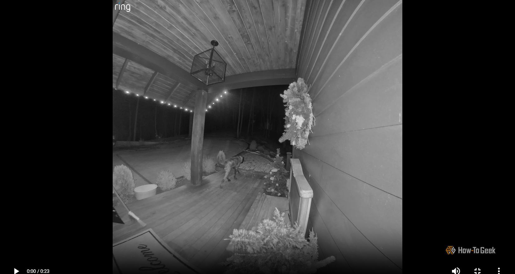 Ring Wired Doorbell Pro night footage.