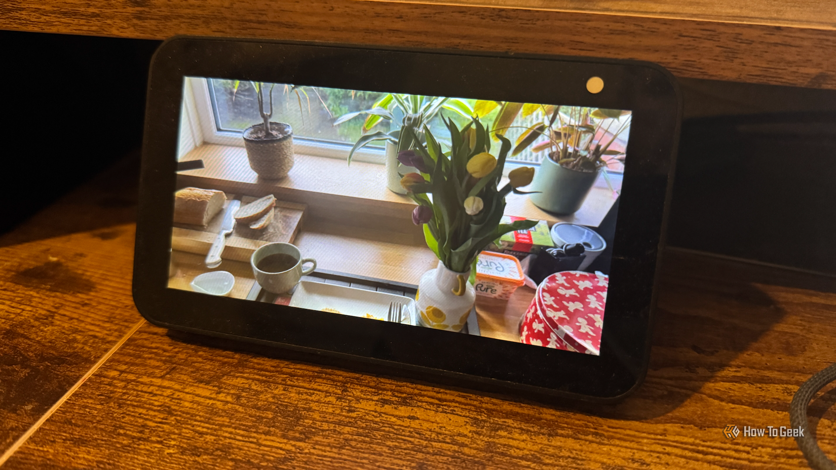 A photo from Immich displayed on an Echo Show 5.