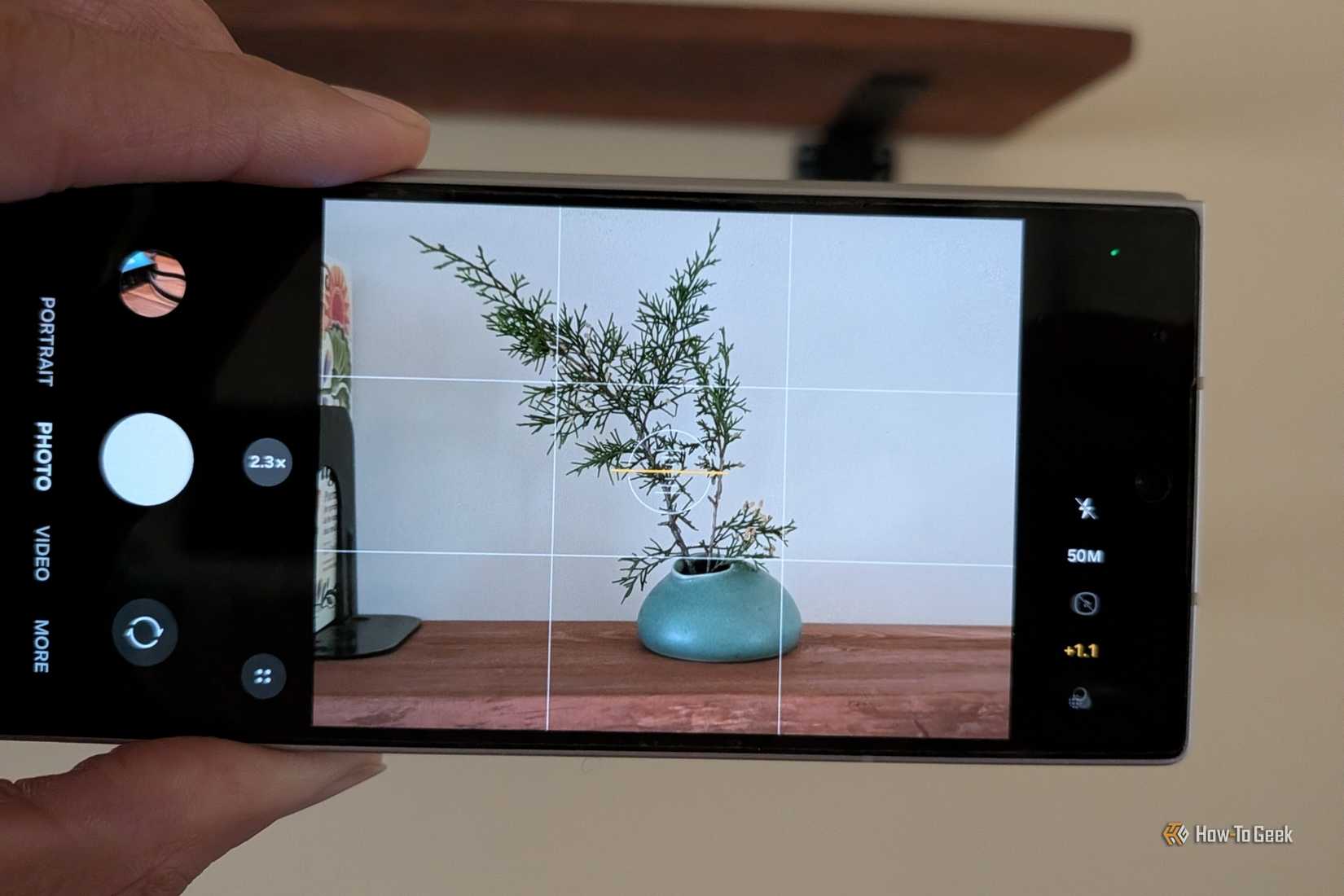Grid lines visible using the composition guide feature in the Galaxy Z Fold 6 camera app.