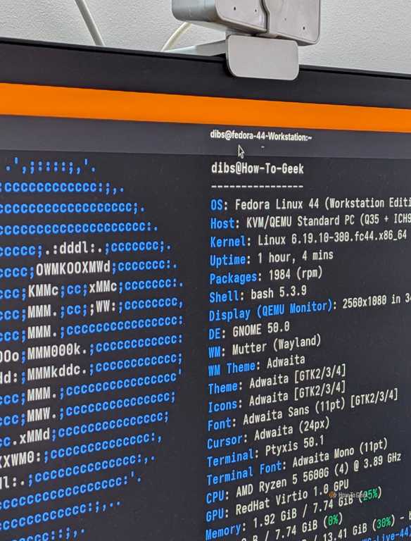 Cutter Linux Tools I ran out of storage on my Linux machine and these 2 tools fixed it fast