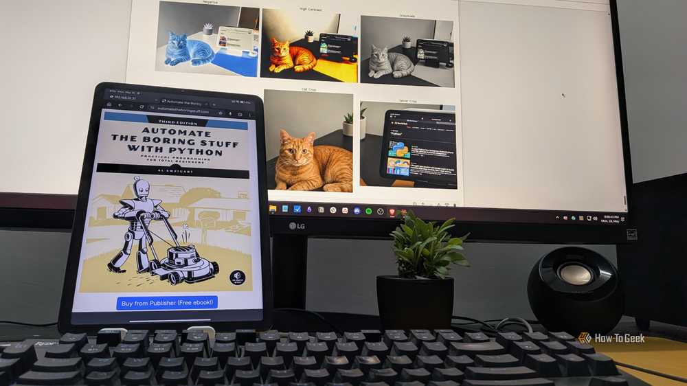 Resources like 'Automate the Boring Stuff with Python' have made practical programming accessible to non-engineers.