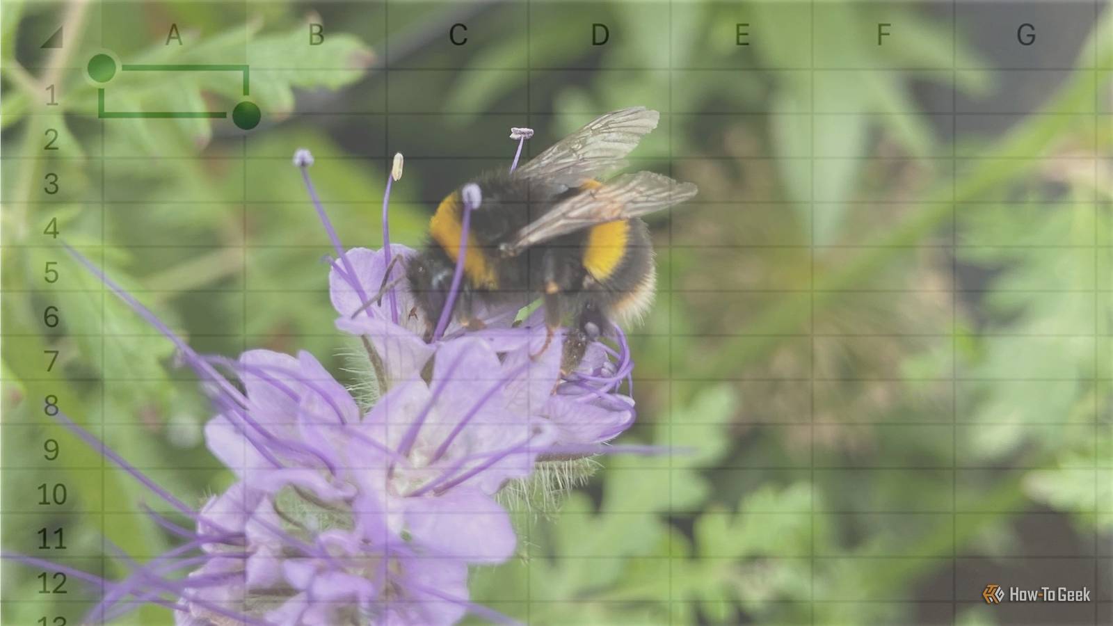 Why Excel Is the Ultimate Gardening Companion for Planning and Tracking