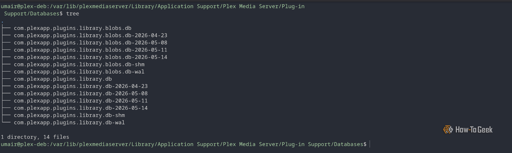 screenshot of the contents of the plex database folder