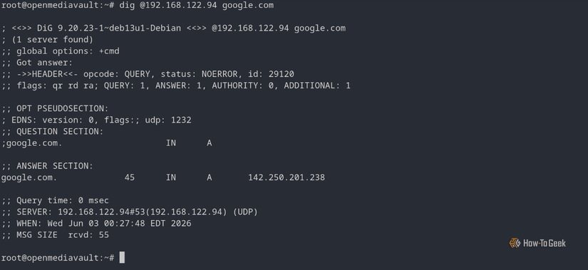result of a DNS lookup command dig