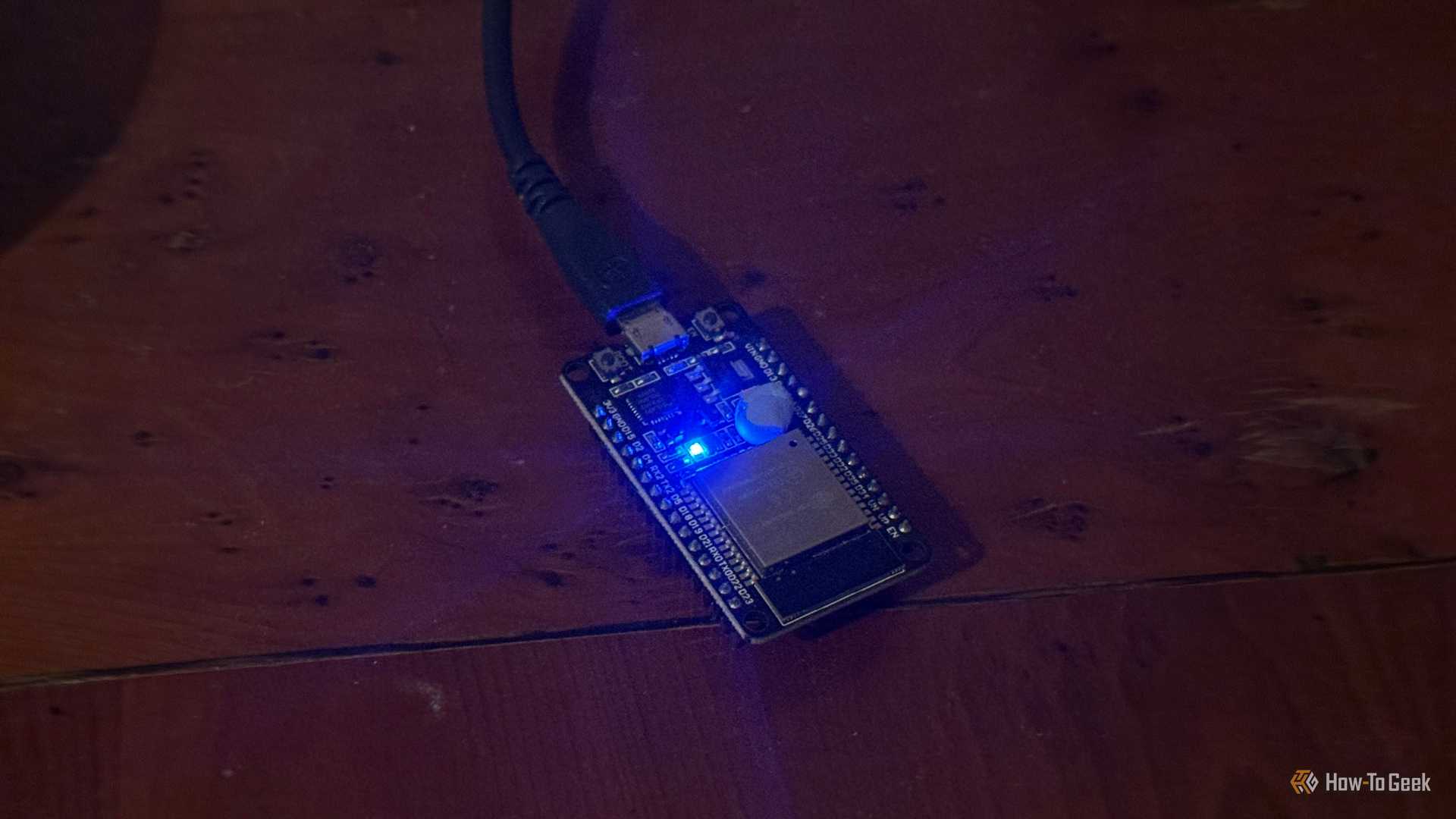 Blue Raspberry Bush Real Why ESP32's secret low-power features make it better than Pi for ...