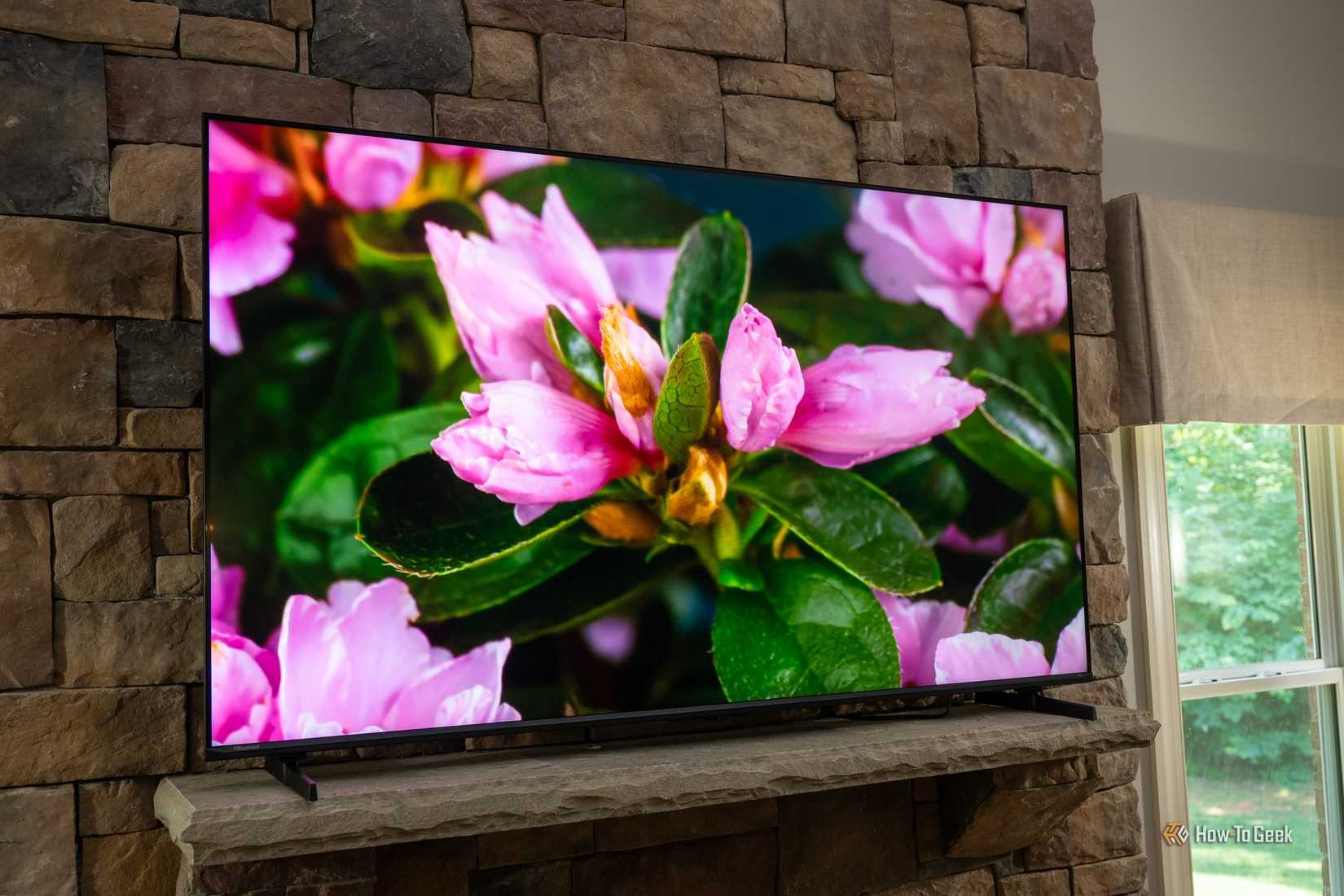 Hisense U6 Pro TV mounted on stone fireplace displaying close-up pink rhododendron flowers with green foliage.