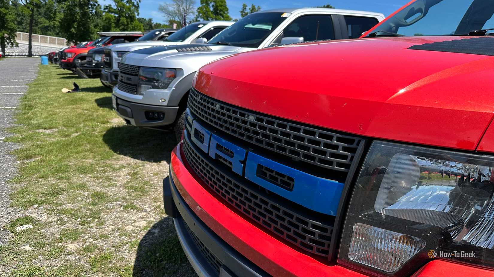 Row of Ford Pickups