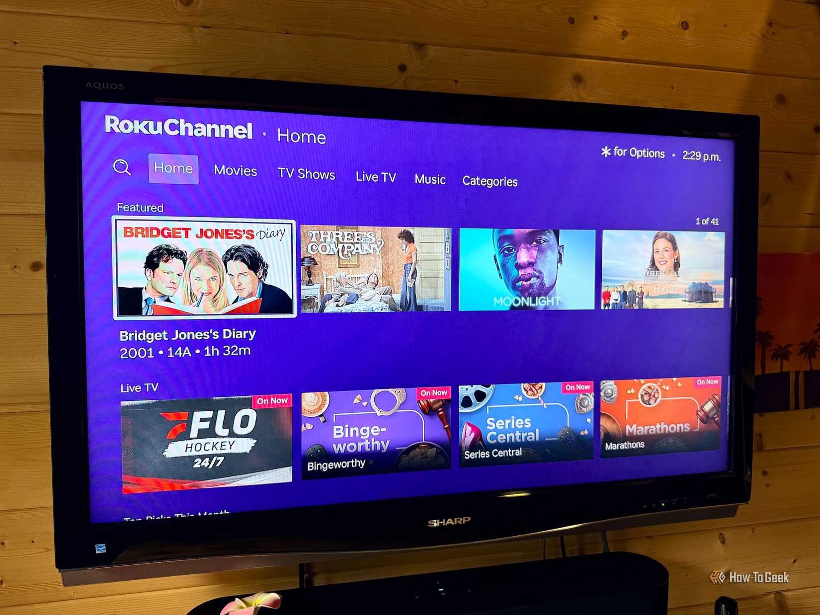 The Roku Channel home page on a TV