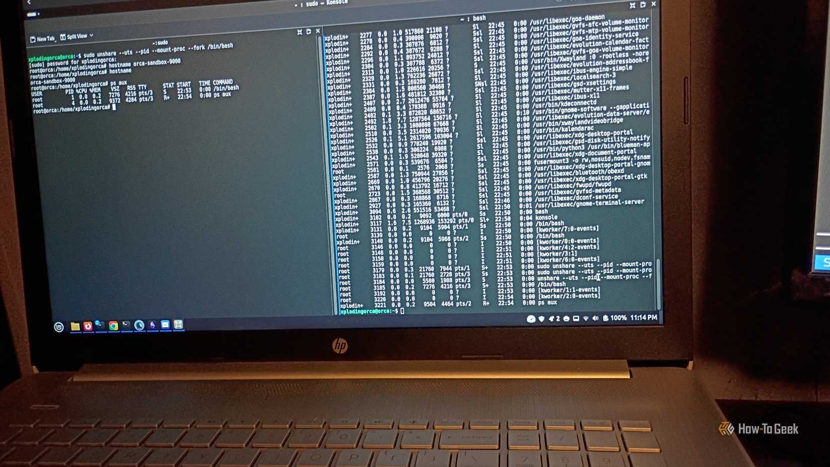 A dual-pane terminal display on a laptop demontsrating Linux namespaces in action.