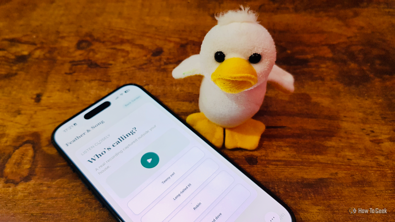 I turned my Raspberry Pi bird detector into a game that teaches me bird calls
