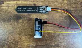 ESP32 development board mounted in a black pin header bracket seen from a higher angle connected to a capacitive soil moisture sensor.