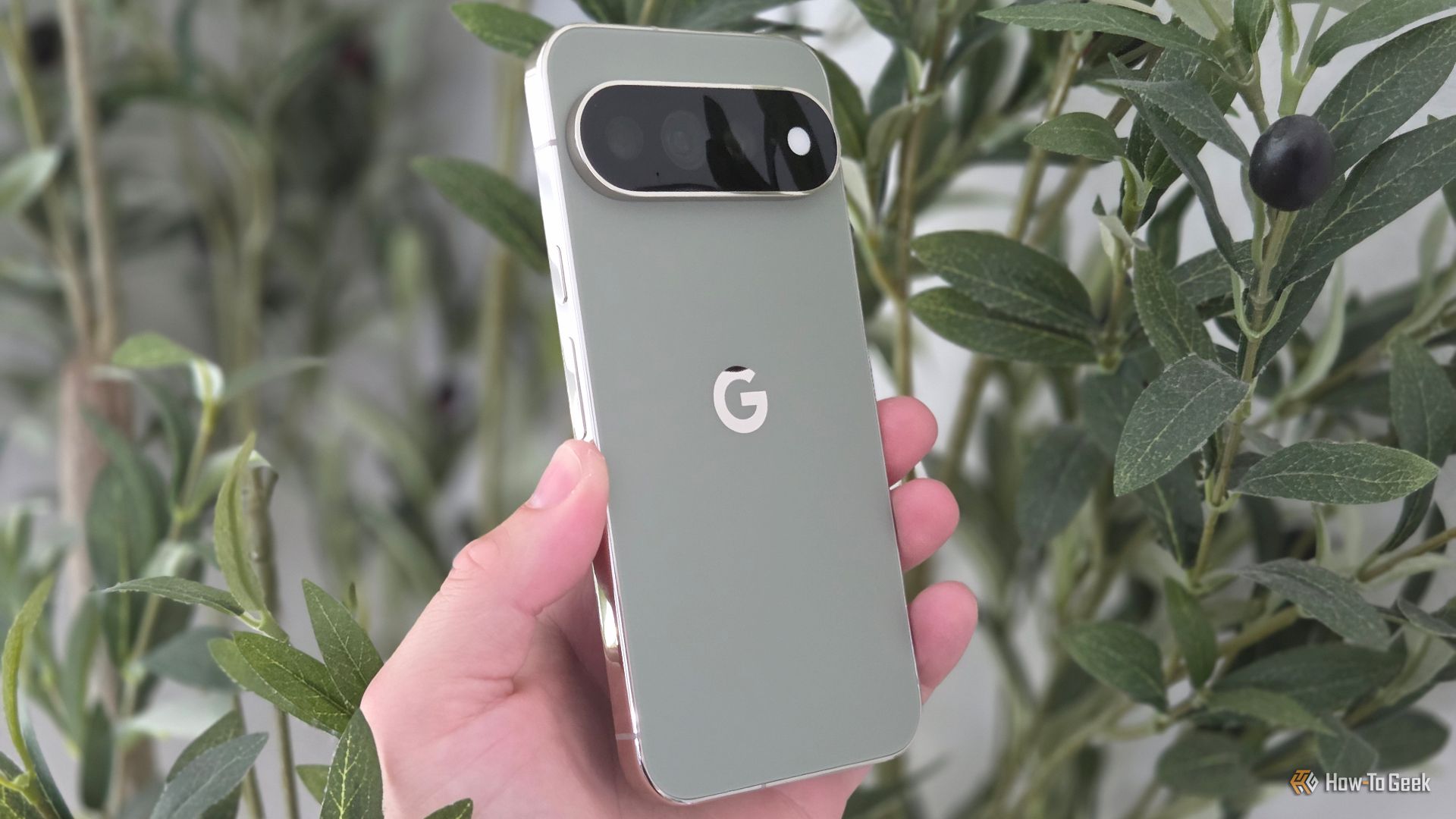 Pixel 11 Pro XL in front of a green tree