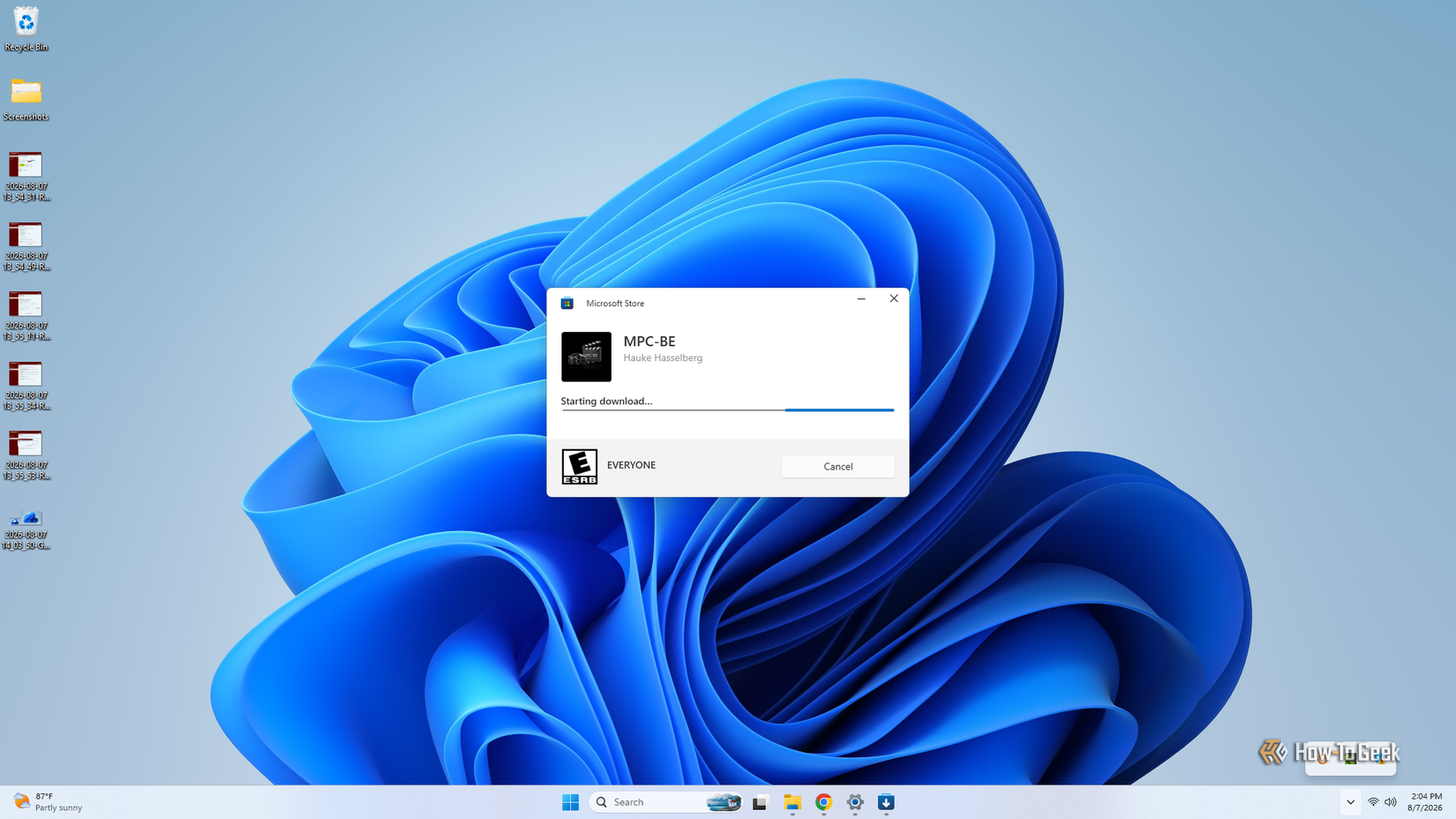 An image of Windows 11 installing a media player.