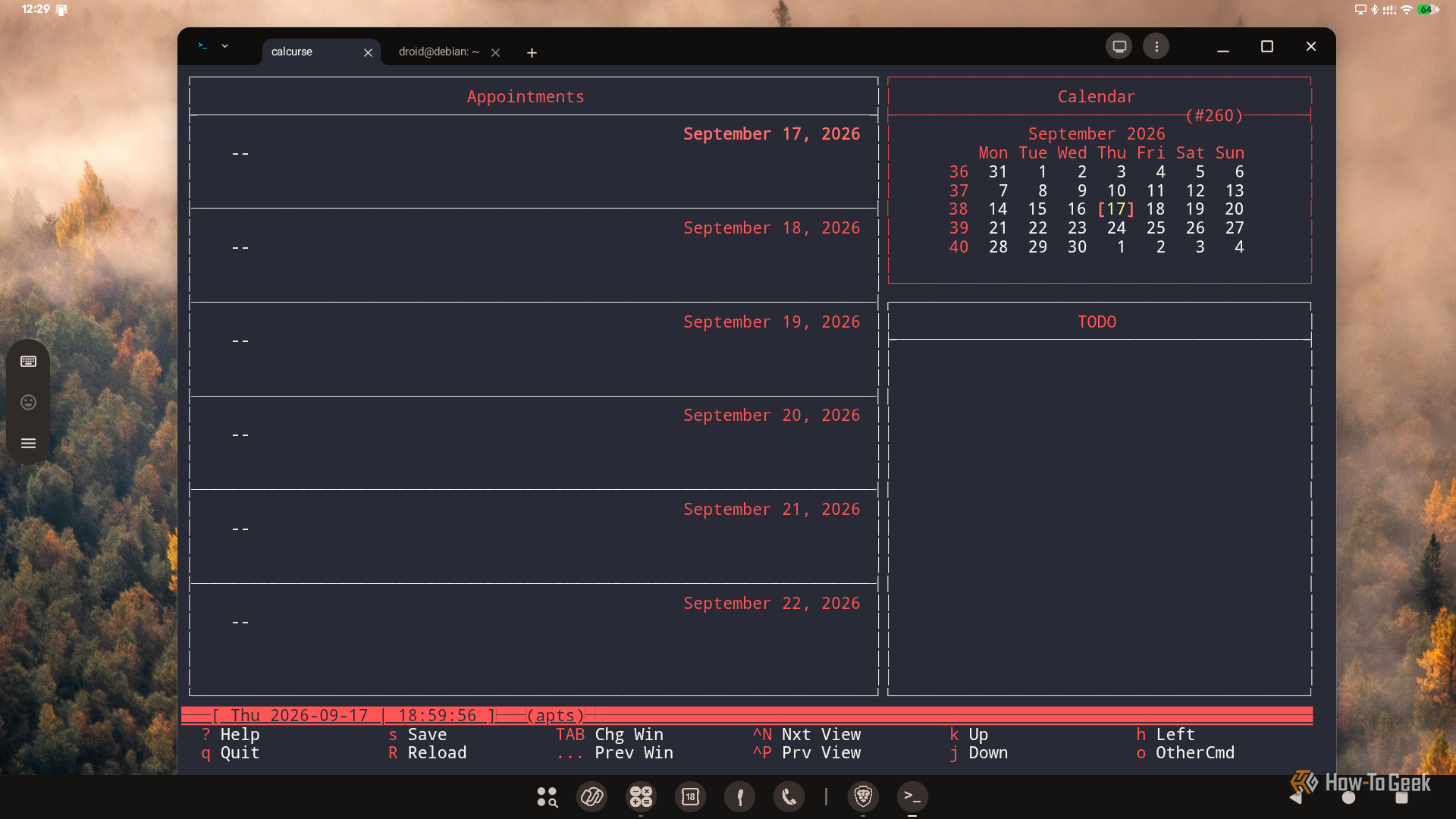 calcurse calendar and appointments view running in the Pixel terminal.