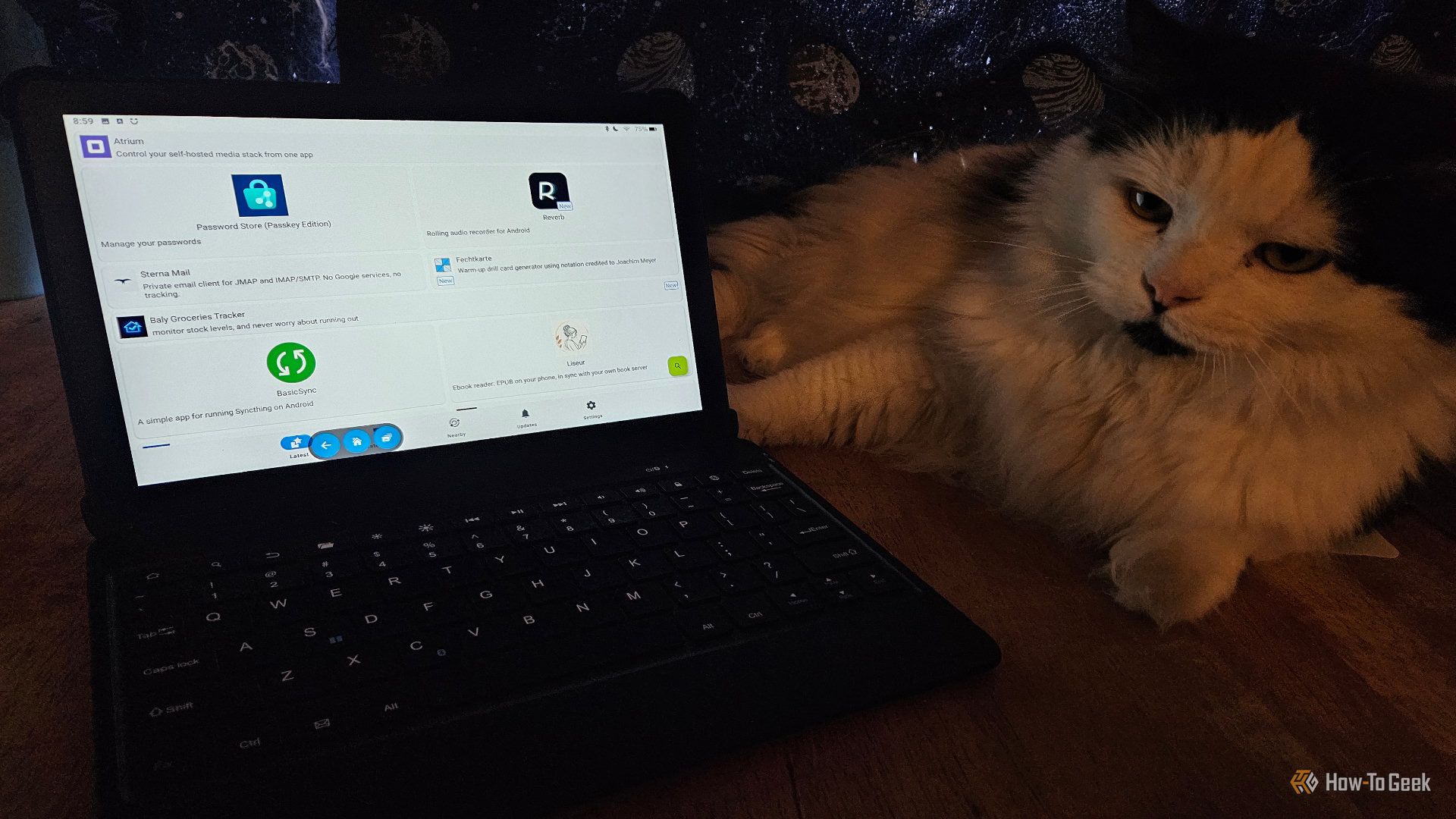 Amazon is making the Fire Tablet worse. Here's how I'm fighting back