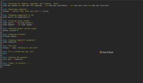 Bash shell script displaying commands for package updates (apt, flatpak), kernel memory tuning (swappiness, cache clearing), Docker storage checks, Timeshift snapshot listing, and fetching weather via wttr.in