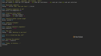 Bash shell script displaying commands for package updates (apt, flatpak), kernel memory tuning (swappiness, cache clearing), Docker storage checks, Timeshift snapshot listing, and fetching weather via wttr.in