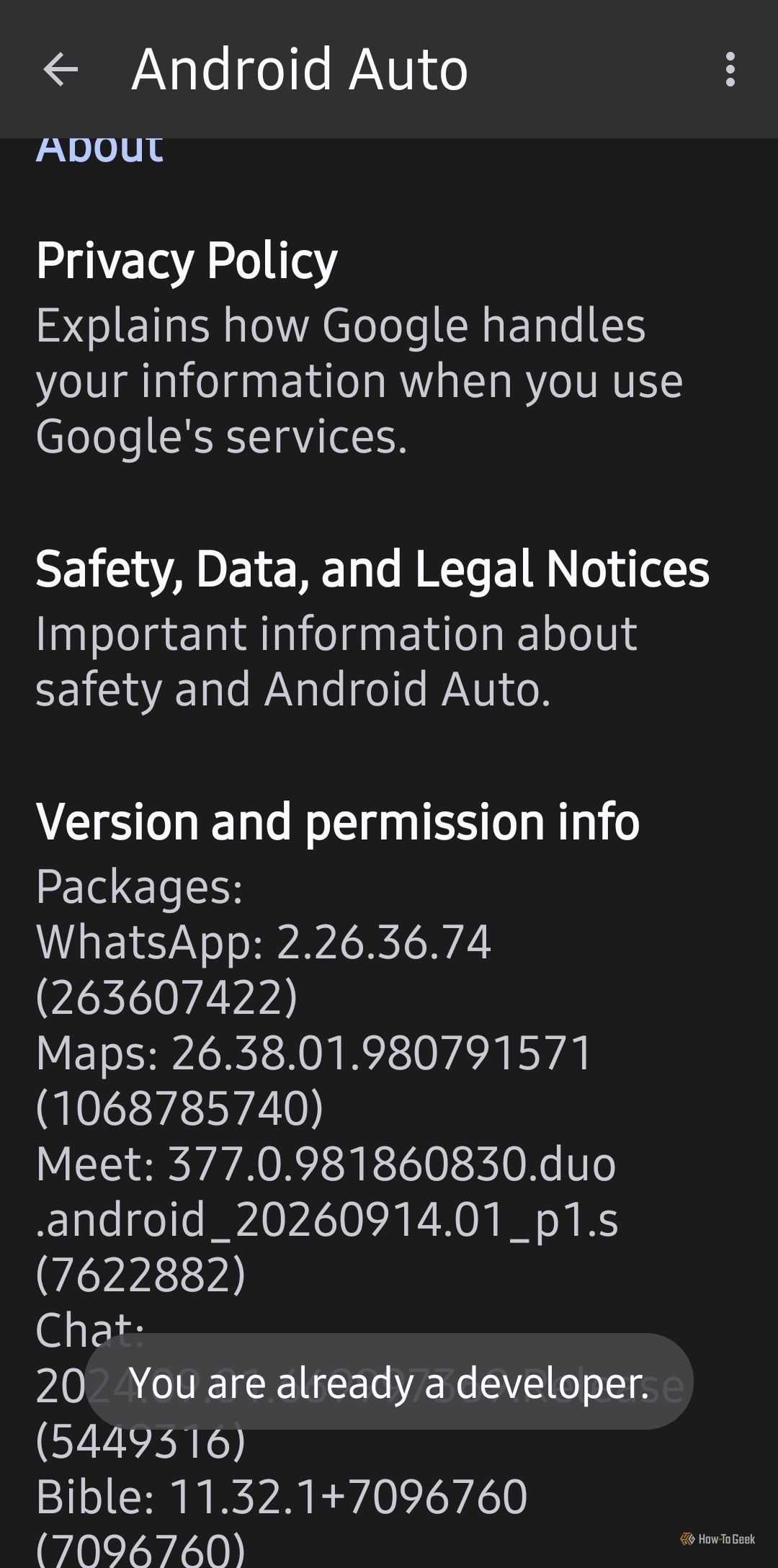 Android Auto's hidden developer menu unlocks 7 features Google doesn't ...